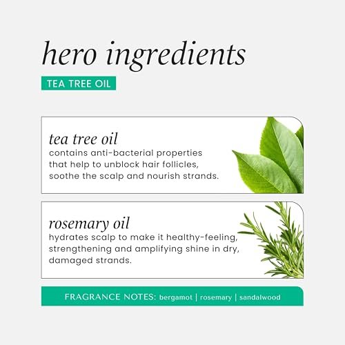 HASK Tea Tree & Rosemary Oil Scalp Care Shampoo - 12 fl oz Avelisse