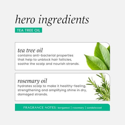HASK Tea Tree & Rosemary Oil Scalp Care Shampoo - 12 fl oz Avelisse
