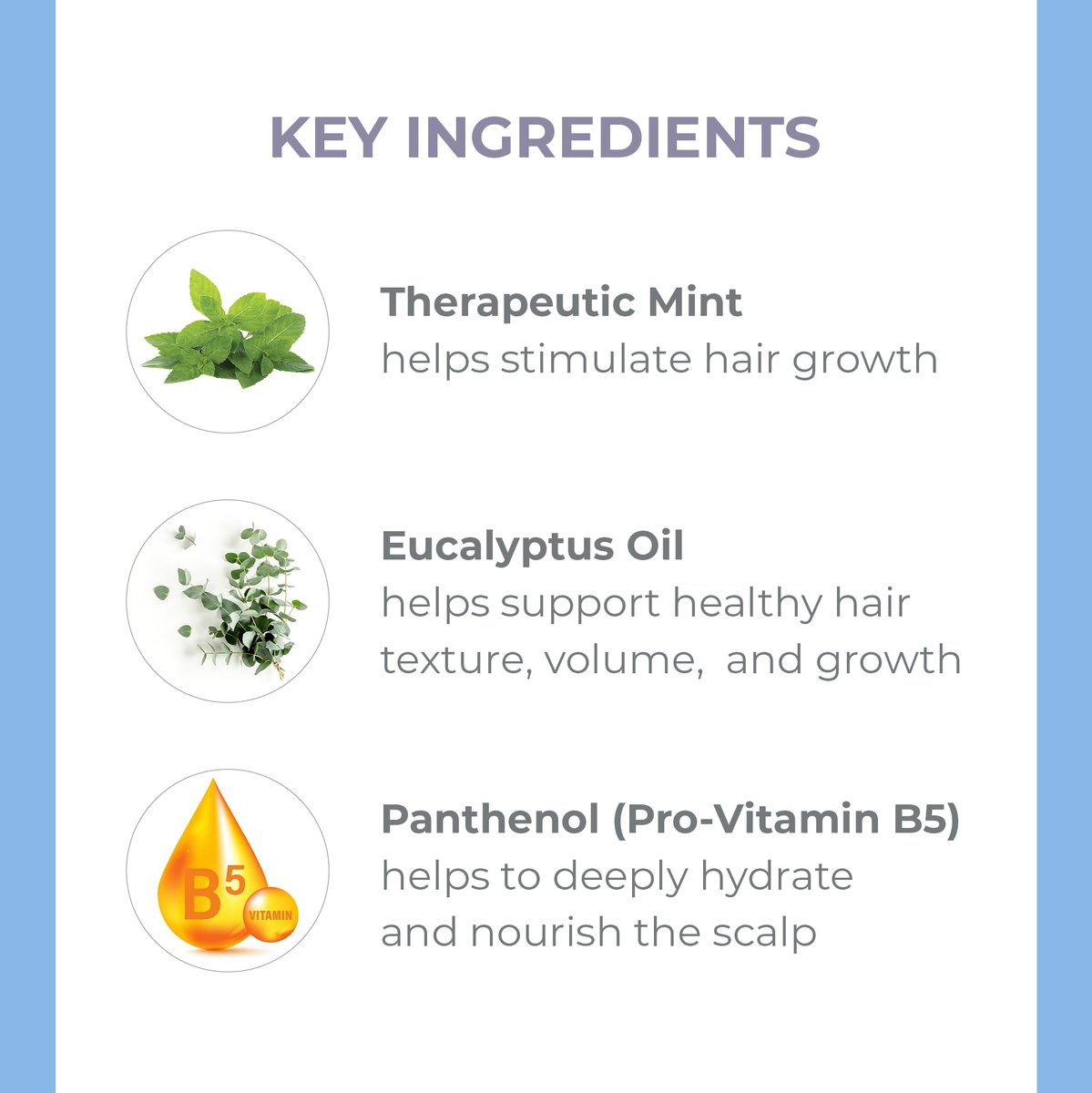 Derma E Thickening Shampoo for Thinning Hair – Sulfate Free Therapeutic Mint and Herbal Volumizing, 10 oz - görsel 3