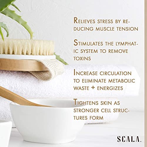 SCALA Natural Bristle Body Brush – Medium Strength Dry Brushing Brush for Exfoliation, Cellulite, Lymphatic Drainage & Blood Flow (Wooden Handle, 5 Count Pack) - görsel 13