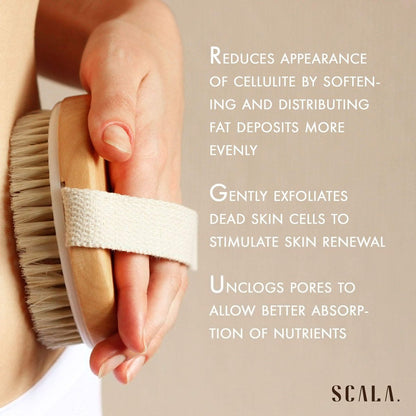 SCALA Natural Bristle Body Brush – Medium Strength Dry Brushing Brush for Exfoliation, Cellulite, Lymphatic Drainage & Blood Flow (Wooden Handle, 5 Count Pack)