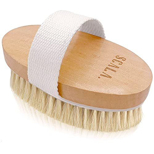 SCALA Natural Bristle Body Brush – Medium Strength Dry Brushing Brush for Exfoliation, Cellulite, Lymphatic Drainage & Blood Flow (Wooden Handle, 5 Count Pack) - görsel 1