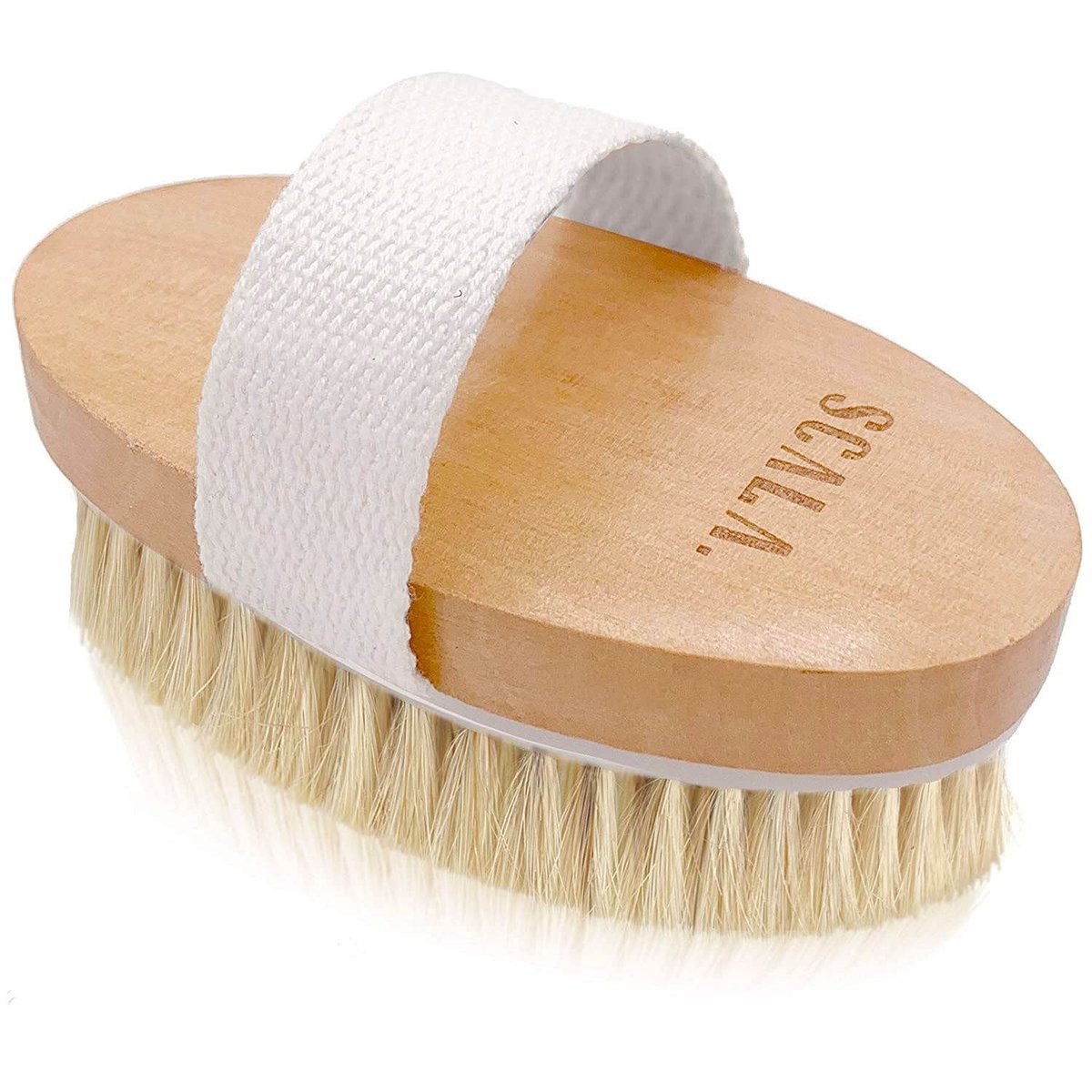 SCALA Natural Bristle Body Brush – Medium Strength Dry Brushing Brush for Exfoliation, Cellulite, Lymphatic Drainage & Blood Flow (Wooden Handle, 5 Count Pack) - görsel 2