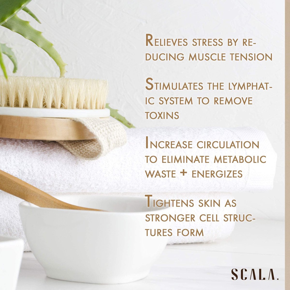 SCALA Natural Bristle Body Brush – Medium Strength Dry Brushing Brush for Exfoliation, Cellulite, Lymphatic Drainage & Blood Flow (Wooden Handle, 5 Count Pack) - görsel 14