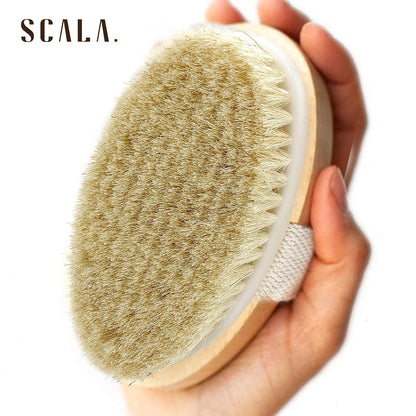 SCALA Natural Bristle Body Brush – Medium Strength Dry Brushing Brush for Exfoliation, Cellulite, Lymphatic Drainage & Blood Flow (Wooden Handle, 5 Count Pack)