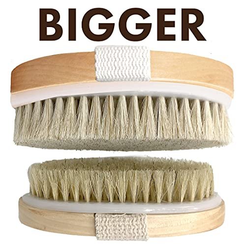 SCALA Natural Bristle Body Brush – Medium Strength Dry Brushing Brush for Exfoliation, Cellulite, Lymphatic Drainage & Blood Flow (Wooden Handle, 5 Count Pack) - görsel 9