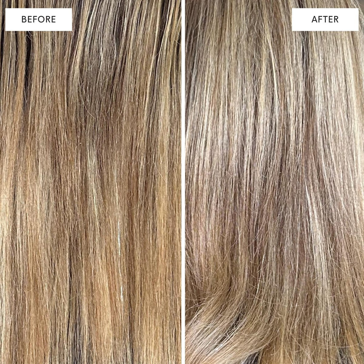 dpHUE Cool Blonde Shampoo - Paraben Free Purple Shampoo for Blonde, Silver, and Gray Hair - 8.5 Fl Oz - görsel 5