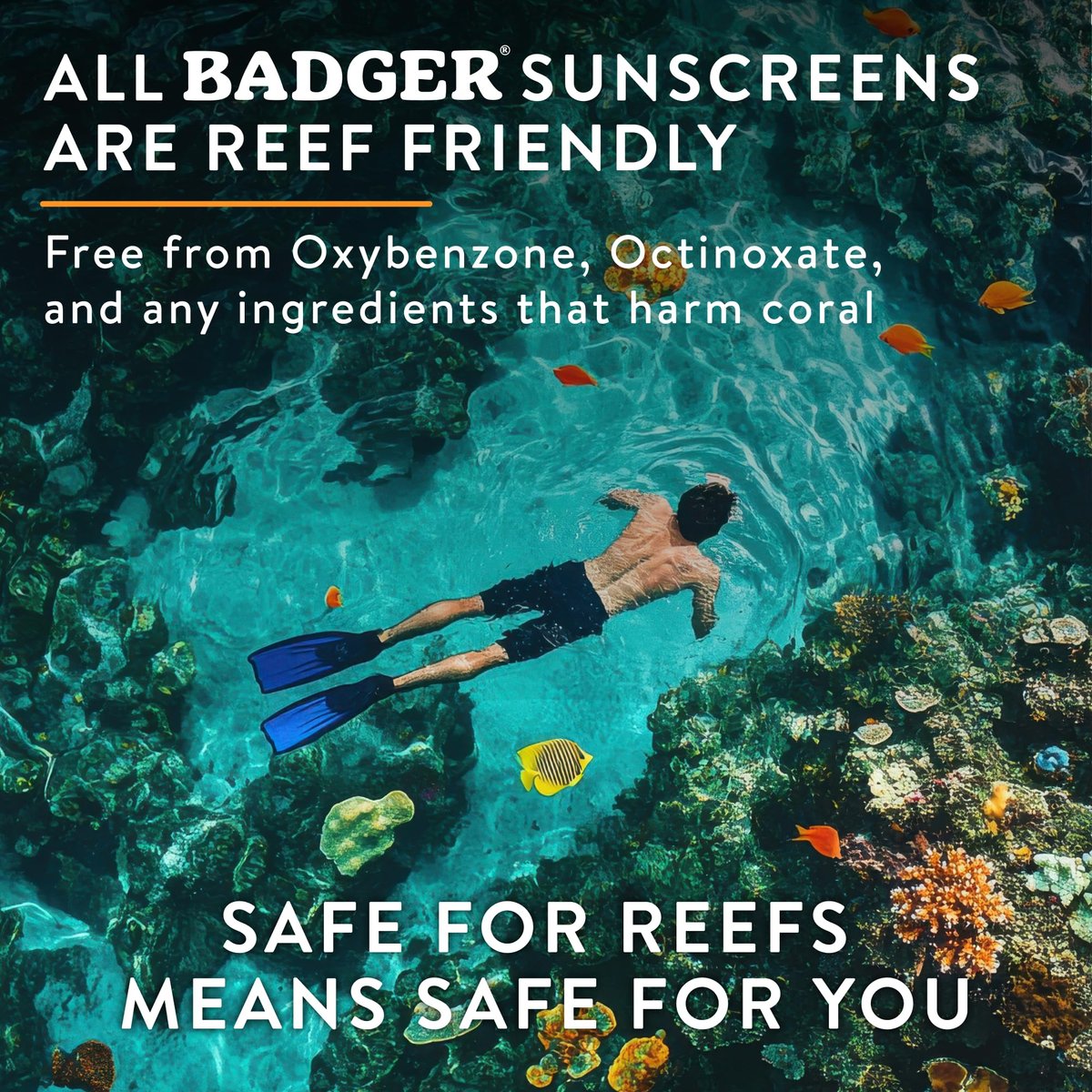 Badger Mineral Sunscreen Lip Balm SPF 15, Unscented, 4-Pack (.15 oz Each) – Reef Safe Zinc Oxide Lip Protection - görsel 7