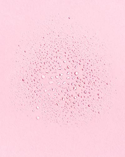 Earth Harbor Tidal Rose Crystal Hydration Toner – Rose Water, Rose Quartz & White Tea – Natural, Cruelty-Free Face Toner (2 fl oz) Avelisse