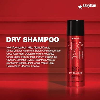 SexyHair Big Dry Shampoo - 3.4 oz - Removes Oils & Impurities, Adds Volume for All Hair Types