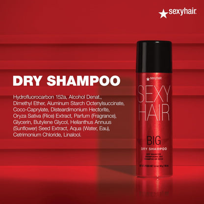 SexyHair Big Dry Shampoo - 3.4 oz - Removes Oils & Impurities, Adds Volume for All Hair Types