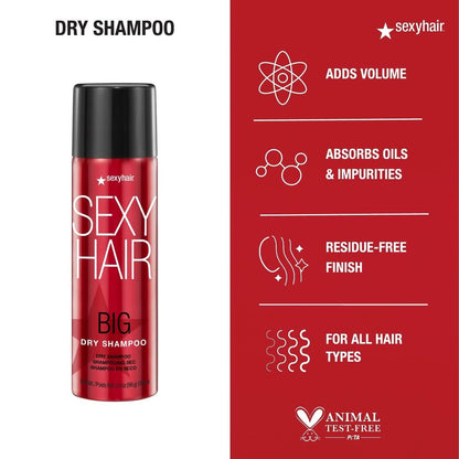 SexyHair Big Dry Shampoo - 3.4 oz - Removes Oils & Impurities, Adds Volume for All Hair Types