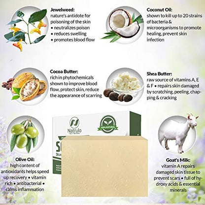 Natrulo Poison Ivy Soap Bar with Jewelweed – Natural Itch Relief for Poison Ivy, Oak, Sumac, Bug Bites, Razor Burn & Ringworm