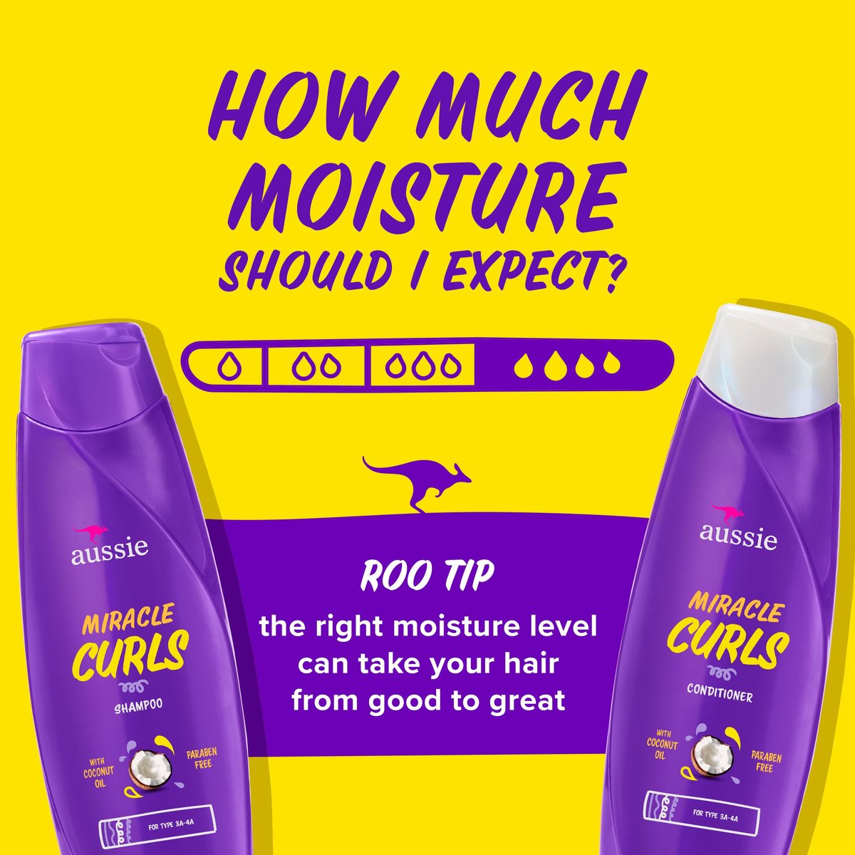 Aussie Miracle Curls 6-Piece Hair Care Set - Shampoo, Conditioner, Deep Conditioner, Refresher Gel, Detangling Milk & Oil Treatment (55.8 Fl Oz Total) Avelisse