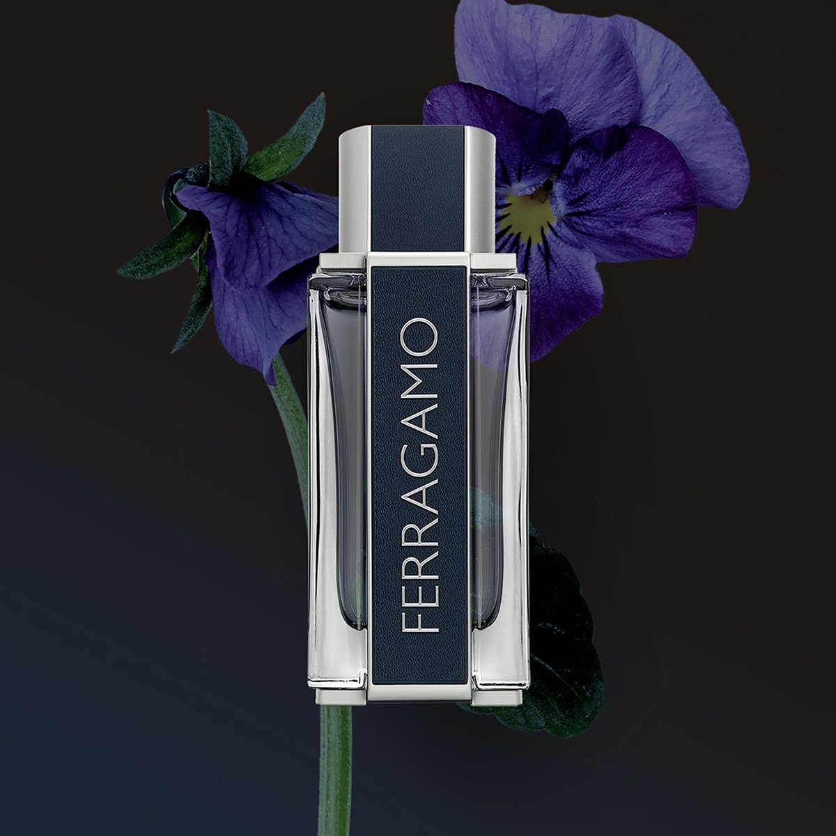 Ferragamo Pour Homme Eau de Toilette for Men - 1.0 Fl. Oz. Cologne Spray - görsel 5