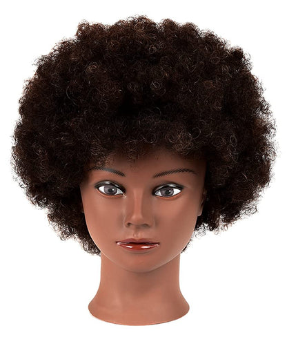 African Mannequin Head with 100% Human Hair Curly Cosmetology Mannequin for Styling Practice and Display - 2 Piece Set with Stand Avelisse