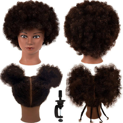 African Mannequin Head with 100% Human Hair Curly Cosmetology Mannequin for Styling Practice and Display - 2 Piece Set with Stand Avelisse