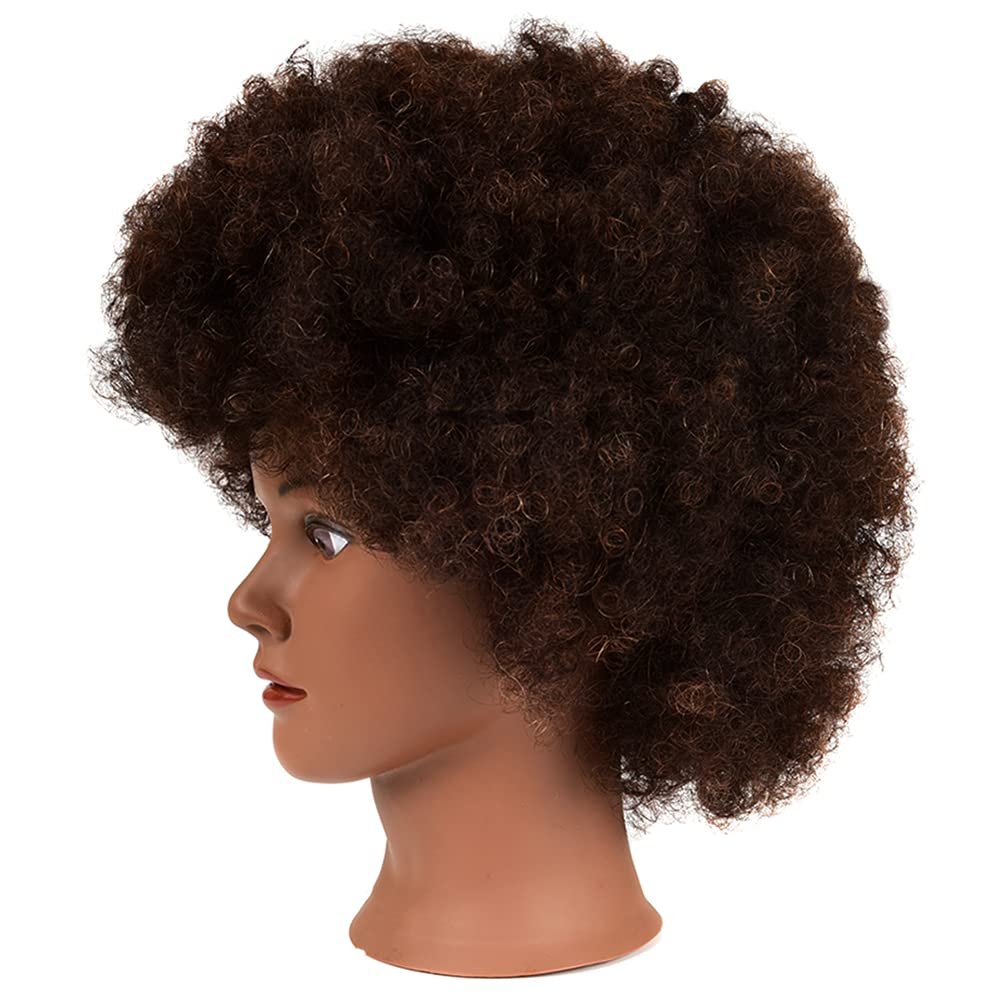 African Mannequin Head with 100% Human Hair Curly Cosmetology Mannequin for Styling Practice and Display - 2 Piece Set with Stand Avelisse