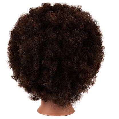 African Mannequin Head with 100% Human Hair Curly Cosmetology Mannequin for Styling Practice and Display - 2 Piece Set with Stand Avelisse