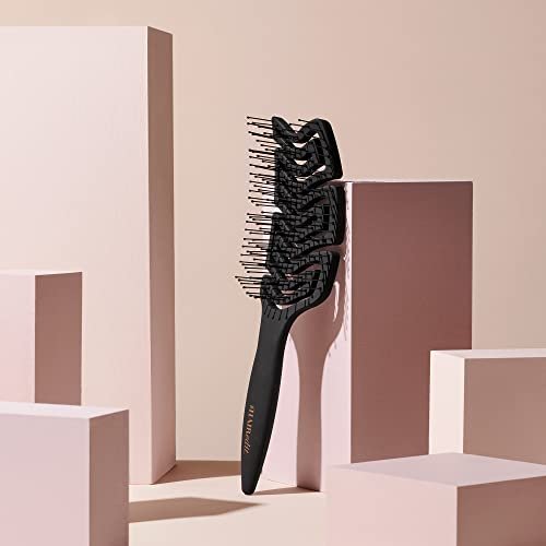 The Hair Edit Detangle & Massage Brush - Ergonomic Wet & Dry Hairbrush for All Hair Types, Black Avelisse
