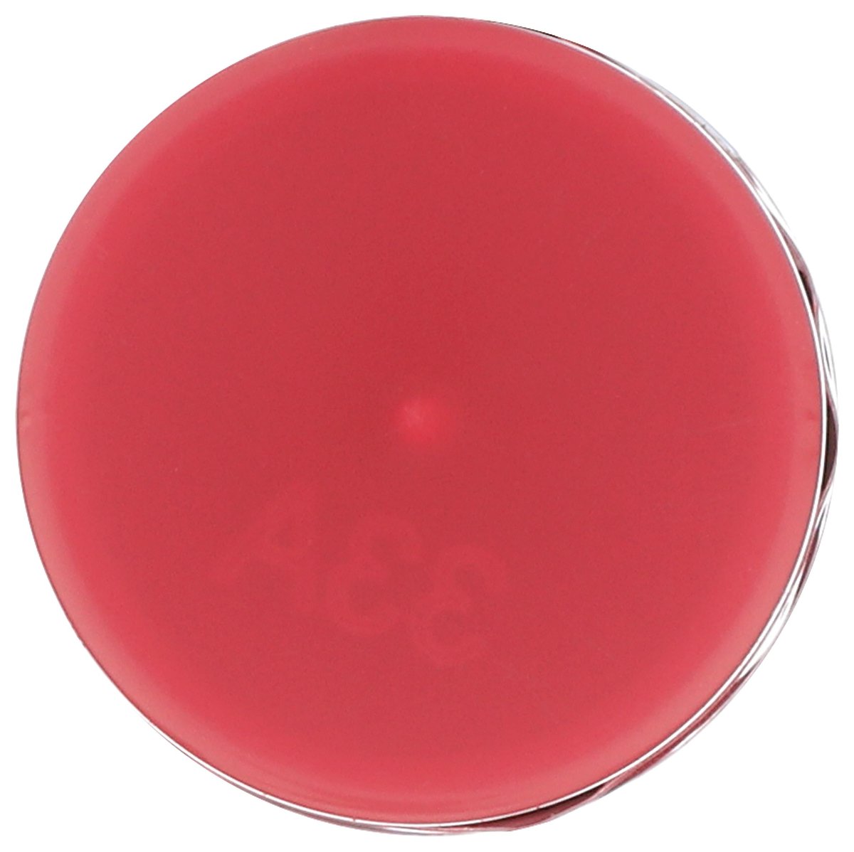 Burt's Bees Tinted Lip Balm Magnolia, 0.15 oz - Moisturizing Natural Lip Color - görsel 11