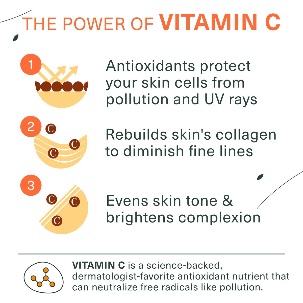 Botanic Tree Vitamin C Face Wash - Brightening Facial Cleanser for All Skin Types - Reduces Acne Scars, Wrinkles, and Breakouts - 6 Fl Oz Avelisse