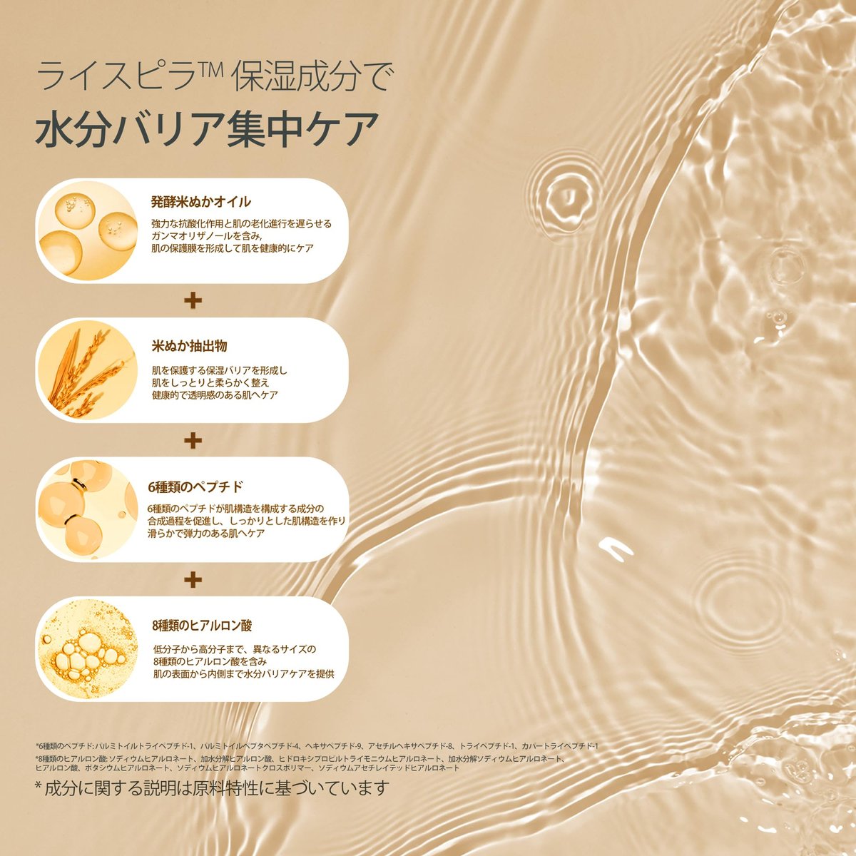 HAYEJIN RiceFila Moisturizing Cream - 50HR Hydrating Day and Night Face Moisturizer with Niacinamide, 8 Hyaluronic Acids & 6 Peptides - Lightweight Vegan Korean Skincare 1.69 fl oz Avelisse