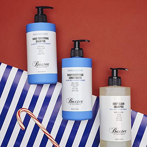 Baxter of California Deep Clean Shampoo – 16 Fl Oz (473ml) – Clarifying Shampoo for Men Avelisse