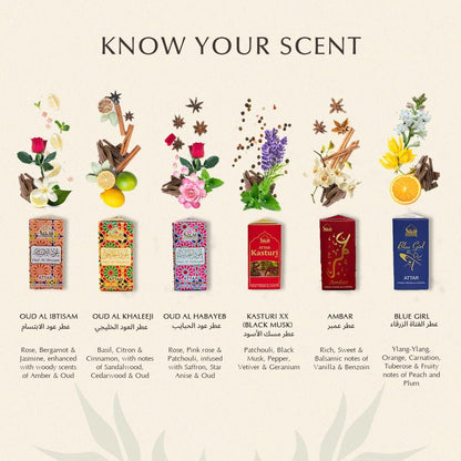 Dukhni Premiere Attar Oil Set | 6 Assorted Scents | Rollerball Perfume Oils for Men & Women | Unisex Perfume Sampler Set | Travel Size Clean Arabian Oud Fragrances | Gift Set, Non-Alcoholic & Vegan