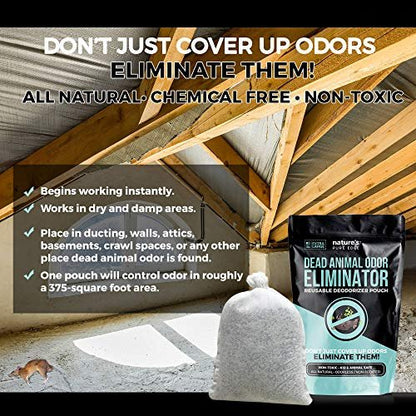Nature's Pure Edge Dead Animal Smell Eliminator Pouch – Fragrance-Free Activated Charcoal Odor Absorber with Specialized Zeolite – for Attics, Walls, Crawlspaces – XL Covers 375 Sq Ft – Pet & Kid Safe