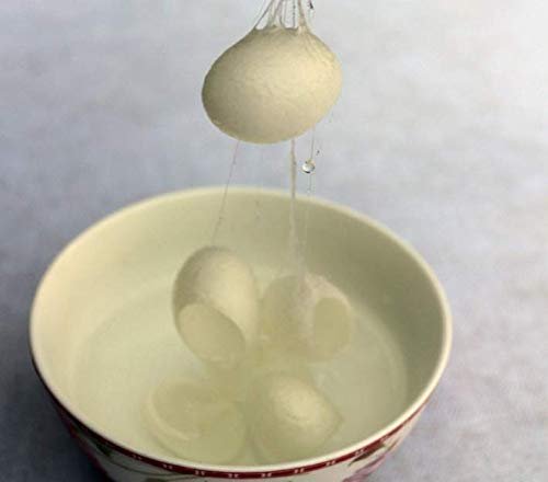 WOIWO 20 PCS Natural Beauty Facial Cleanser - Silk Cocoon Exfoliating Face Wash - görsel 9