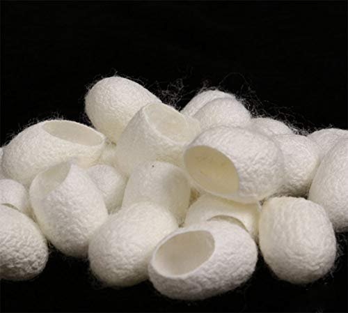 WOIWO 20 PCS Natural Beauty Facial Cleanser - Silk Cocoon Exfoliating Face Wash - görsel 2