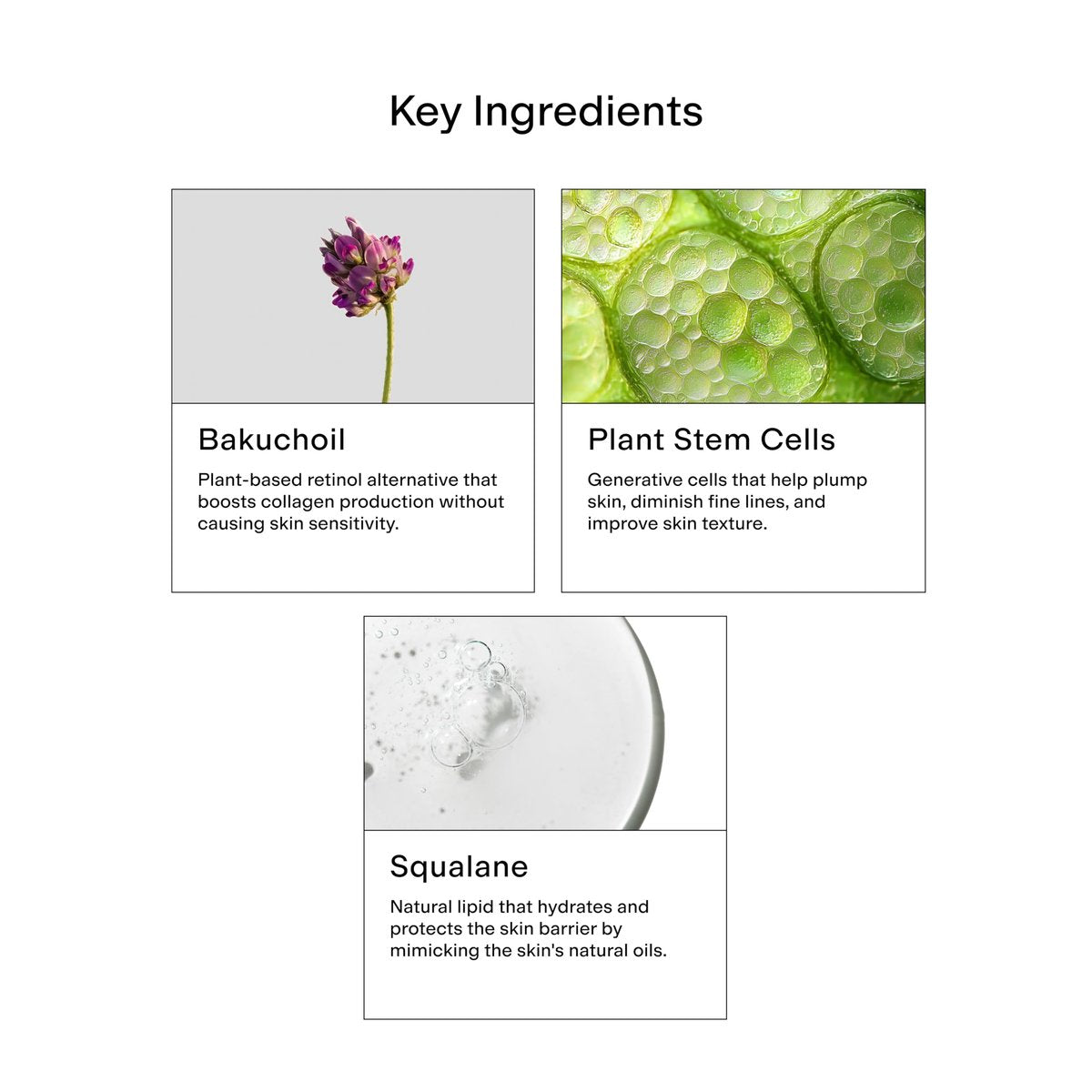 CLEARSTEM HYDRAGLOW Stem Cell Moisturizer with Bakuchiol & Squalene - Youthful Skin Face Moisturizer for All Skin Types - Gluten Free & Cruelty Free - 2 fl oz / 60ml Avelisse