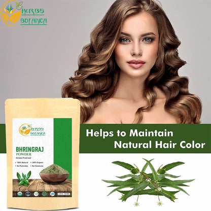 Herbs Botanica Organic Bhringraj Powder – Eclipta Alba False Daisy for Natural Hair Nourishment (5.3 oz / 150 gms) Avelisse