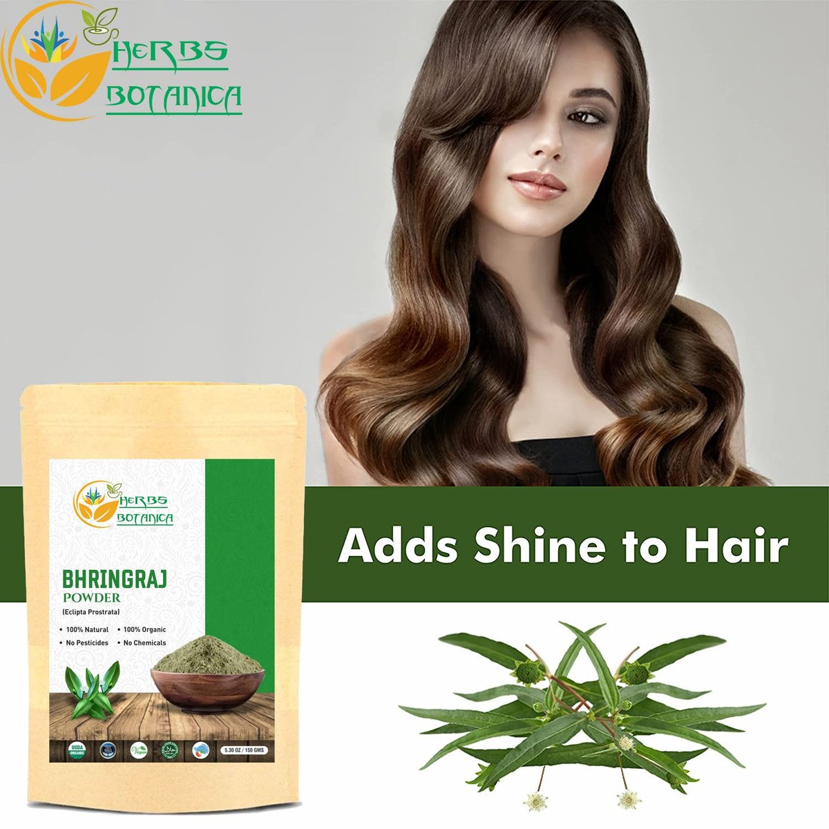 Herbs Botanica Organic Bhringraj Powder – Eclipta Alba False Daisy for Natural Hair Nourishment (5.3 oz / 150 gms) Avelisse
