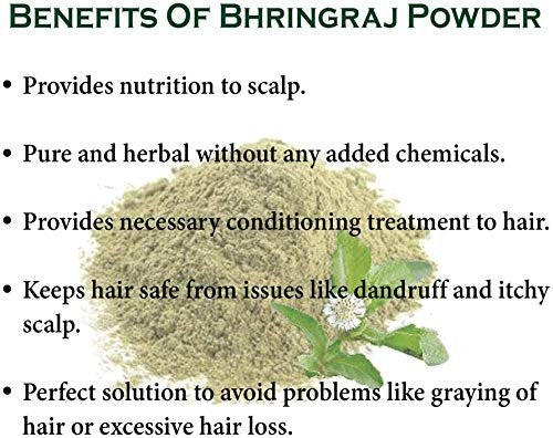 Herbs Botanica Organic Bhringraj Powder – Eclipta Alba False Daisy for Natural Hair Nourishment (5.3 oz / 150 gms) Avelisse