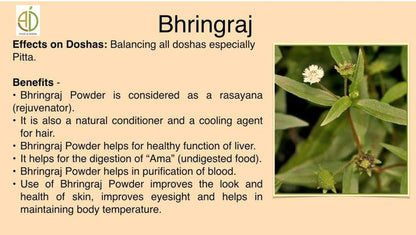 Herbs Botanica Organic Bhringraj Powder – Eclipta Alba False Daisy for Natural Hair Nourishment (5.3 oz / 150 gms) Avelisse