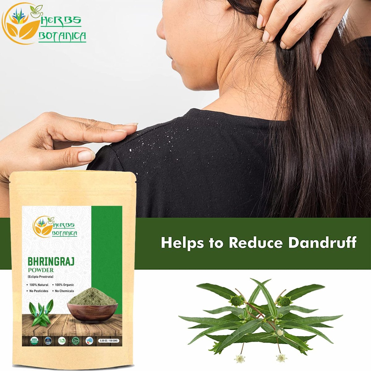 Herbs Botanica Organic Bhringraj Powder – Eclipta Alba False Daisy for Natural Hair Nourishment (5.3 oz / 150 gms) Avelisse