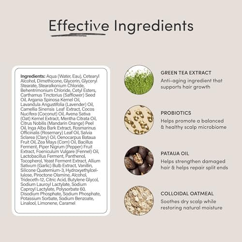 Jupiter Nourishing Conditioner - Soothing Scalp Conditioner for Flaky, Itchy, Oily & Dry Scalp - Nourishes & Reduces Breakage - Color-Safe, Sulfate-Free, Paraben-Free - 9.5 Fl Oz Avelisse