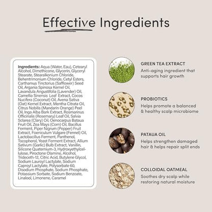 Jupiter Nourishing Conditioner - Soothing Scalp Conditioner for Flaky, Itchy, Oily & Dry Scalp - Nourishes & Reduces Breakage - Color-Safe, Sulfate-Free, Paraben-Free - 9.5 Fl Oz Avelisse
