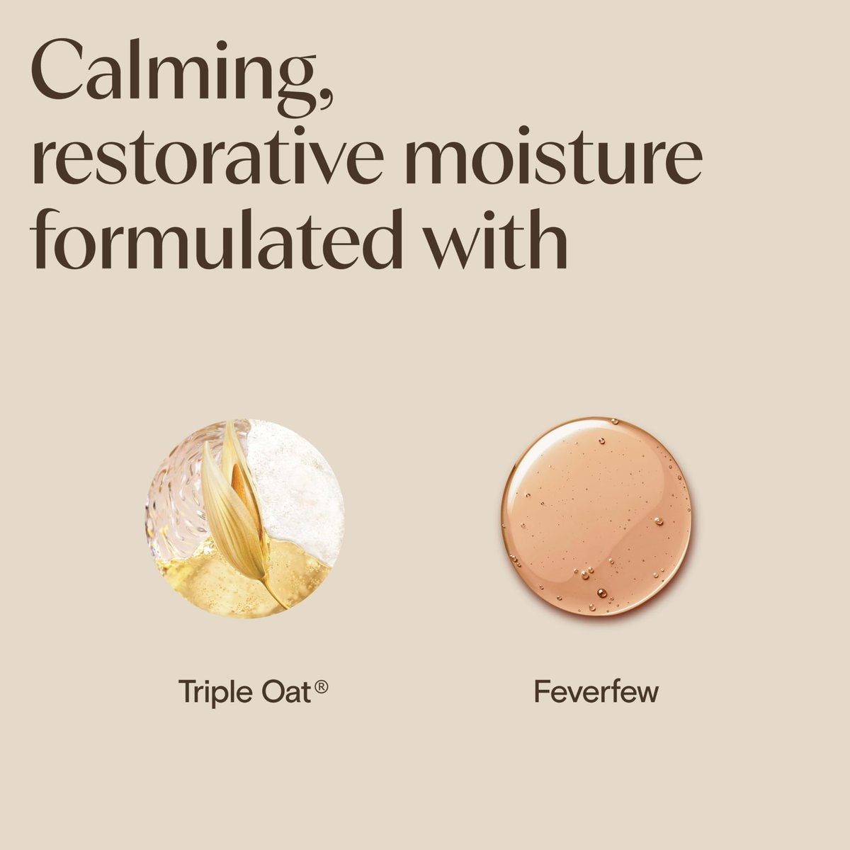 Aveeno Calm + Restore Triple Oat Hydrating Face Serum for Sensitive Skin, Gentle Lightweight Facial Serum, Fragrance-Free & Hypoallergenic, 1 fl. oz - görsel 5
