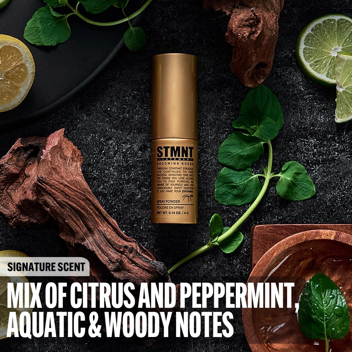 STMNT Grooming Goods Spray Powder - Extra Matte Finish, Added Texture & Grip, Super Lightweight Formula (0.14 oz) - görsel 7