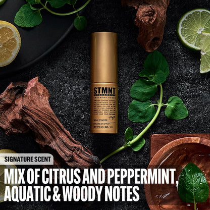 STMNT Grooming Goods Spray Powder - Extra Matte Finish, Added Texture & Grip, Super Lightweight Formula (0.14 oz)
