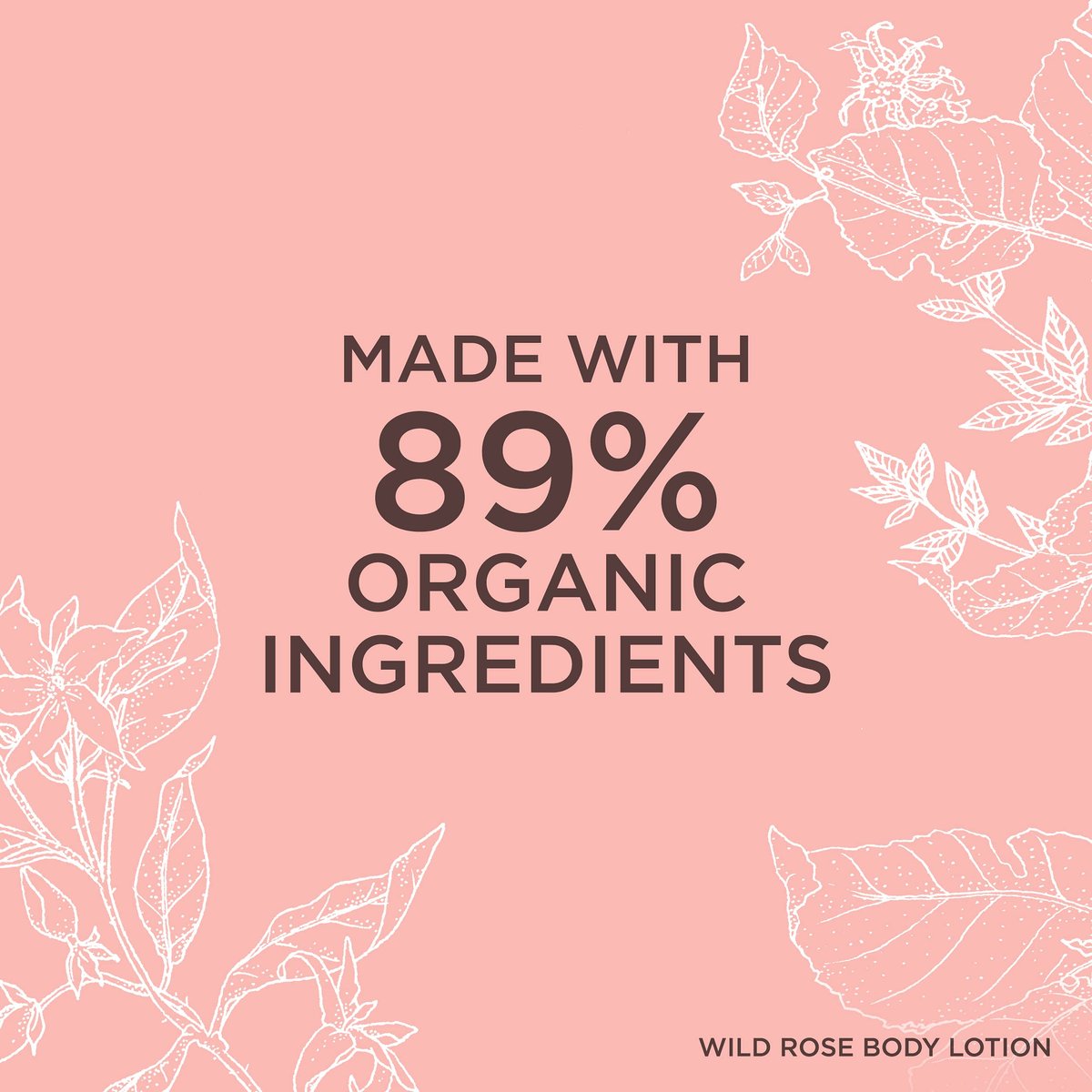 Neal's Yard Remedies Wild Rose Daily Hydrating Body Lotion – Moisturizing & Nourishing for Dry Skin, 6.76 oz - görsel 7