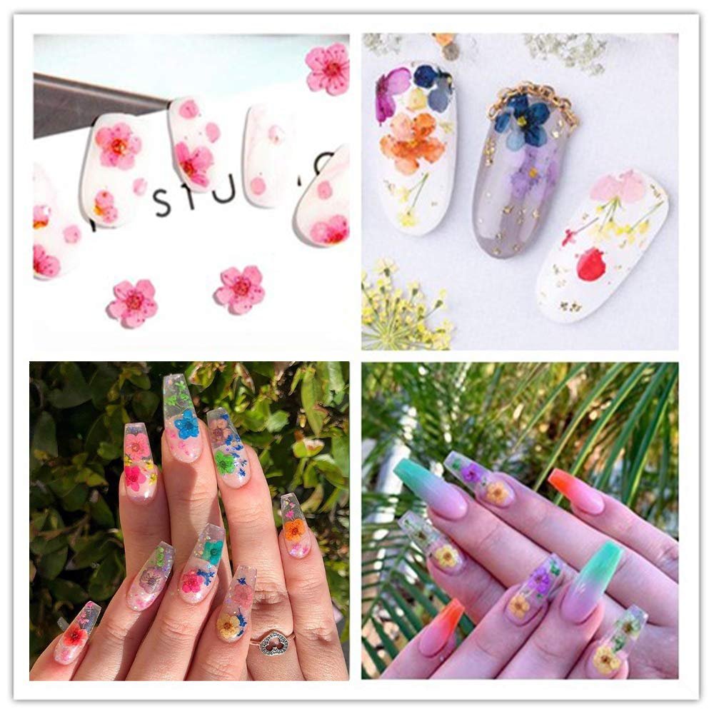 CHANGAR 3D Real Dried Flower Nail Art Stickers - 2 Box Set for Nail & Resin Craft DIY - görsel 12