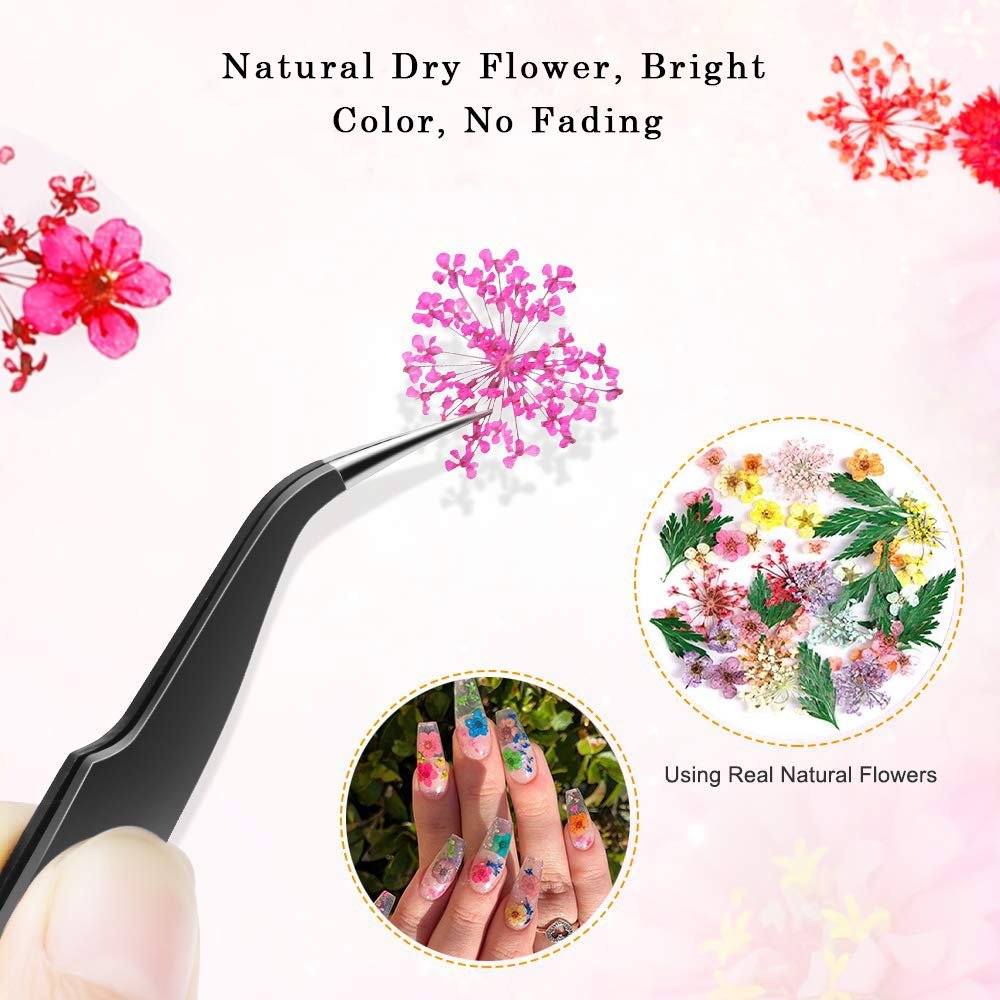 CHANGAR 3D Real Dried Flower Nail Art Stickers - 2 Box Set for Nail & Resin Craft DIY - görsel 10