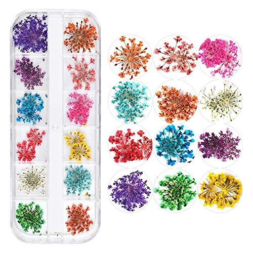 CHANGAR 3D Real Dried Flower Nail Art Stickers - 2 Box Set for Nail & Resin Craft DIY - görsel 8