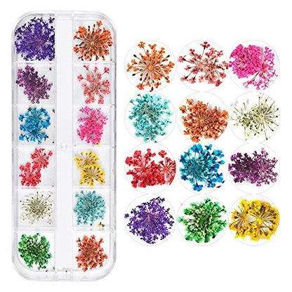 CHANGAR 3D Real Dried Flower Nail Art Stickers - 2 Box Set for Nail & Resin Craft DIY