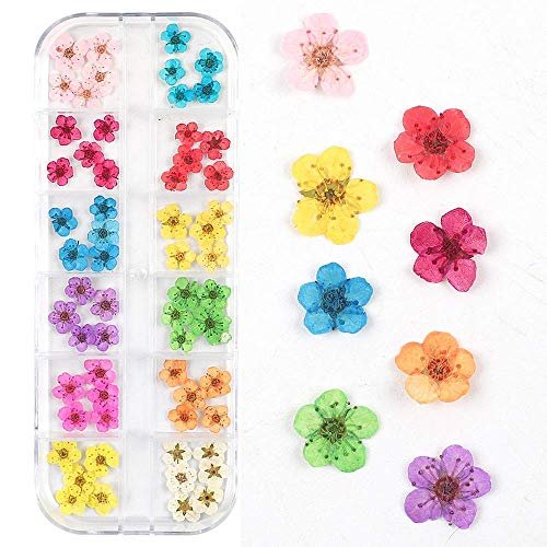 CHANGAR 3D Real Dried Flower Nail Art Stickers - 2 Box Set for Nail & Resin Craft DIY - görsel 4