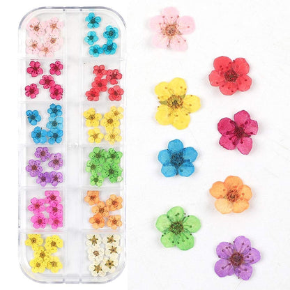 CHANGAR 3D Real Dried Flower Nail Art Stickers - 2 Box Set for Nail & Resin Craft DIY